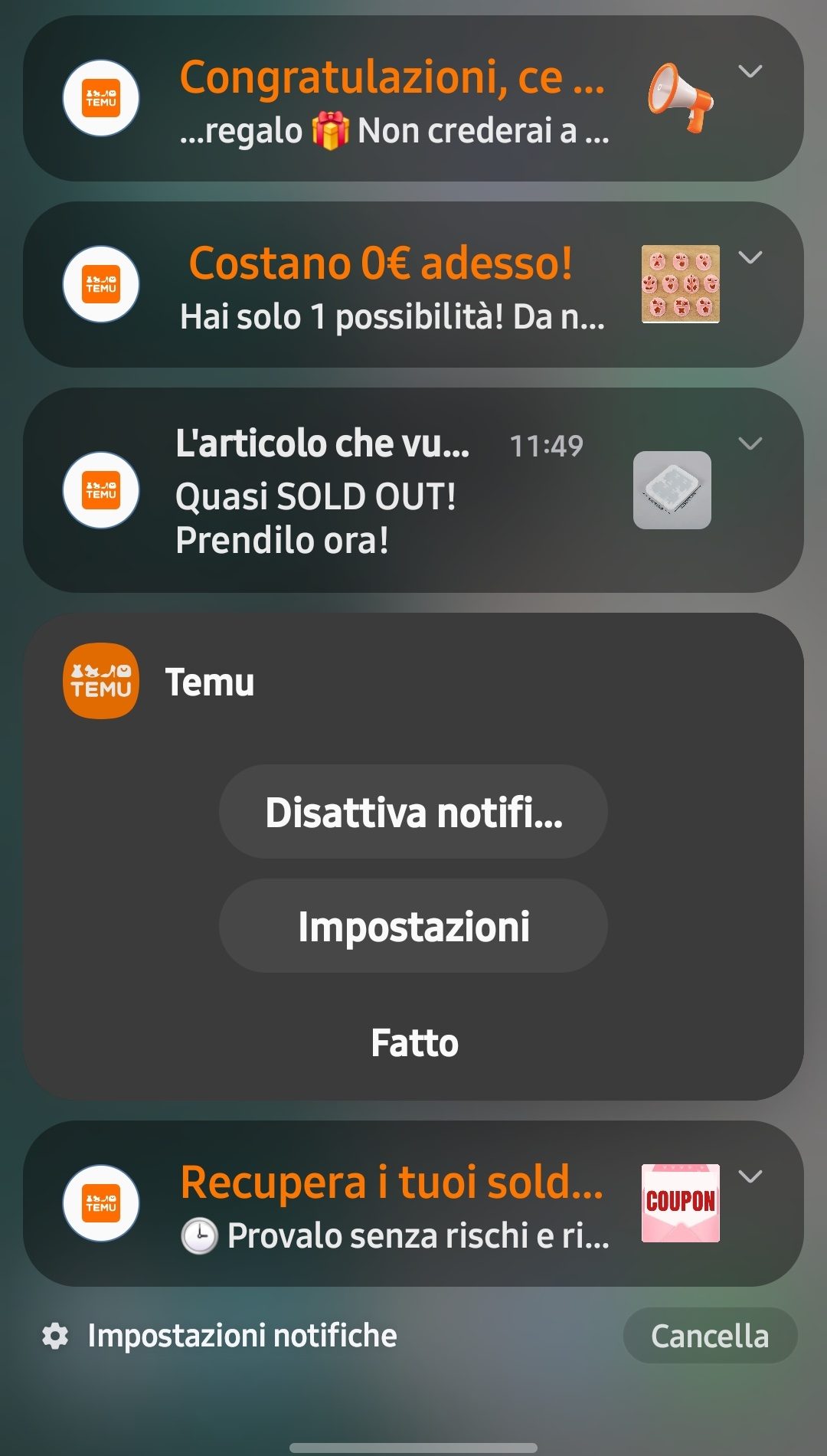 Disattiva Temu Notifiche1