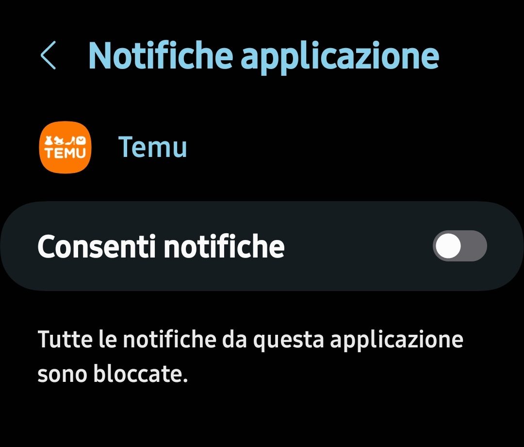 Disattiva Temu Notifiche2
